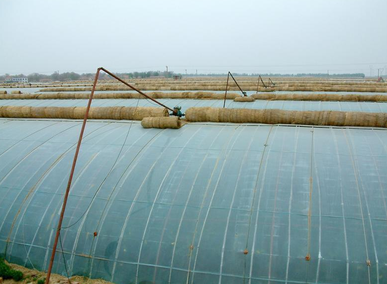 蔬菜大棚中熱泵的應用