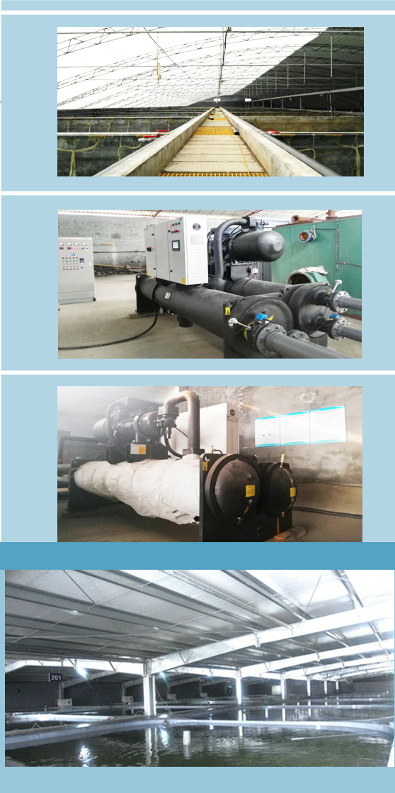 螺桿式熱泵機組海水養殖 螺桿式熱泵機組海水養殖