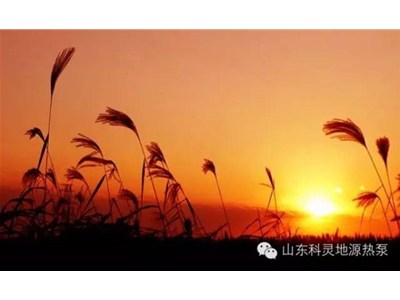 大愛(ài)初秋，醉美科靈