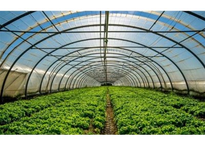 空氣能熱泵在溫室大棚種植和畜牧養殖供